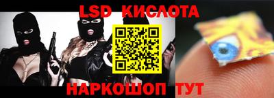 крисы Кунгур