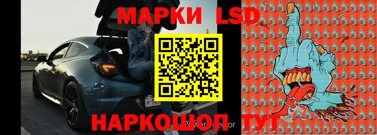 Кингисепп  Лсд 25 экстази кислота  ЛСД экстази кислота  Вход с VPN 