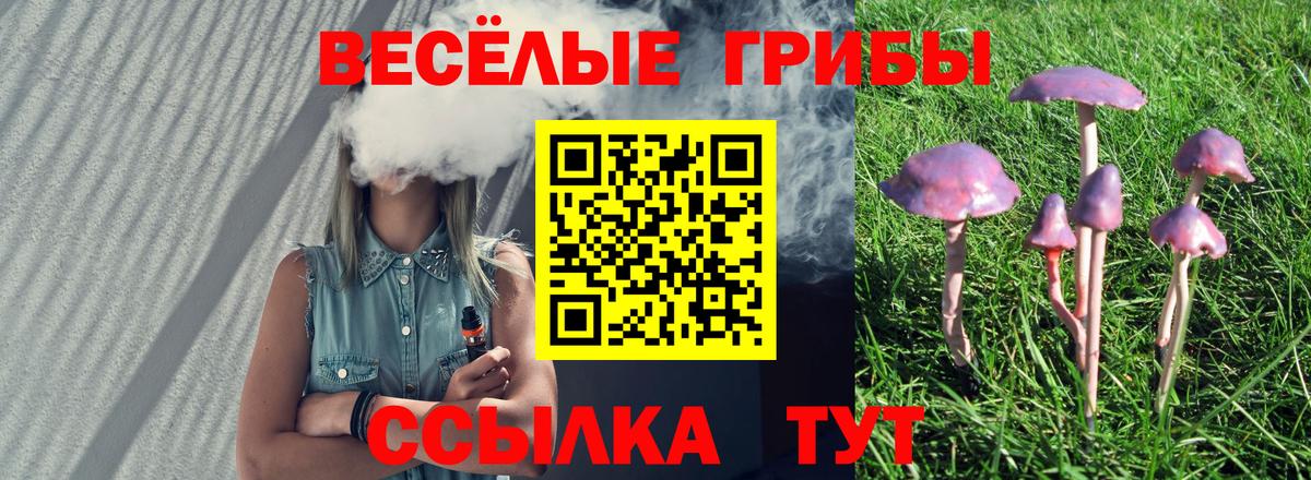 Галлюциногенные грибы мухоморы Кингисепп