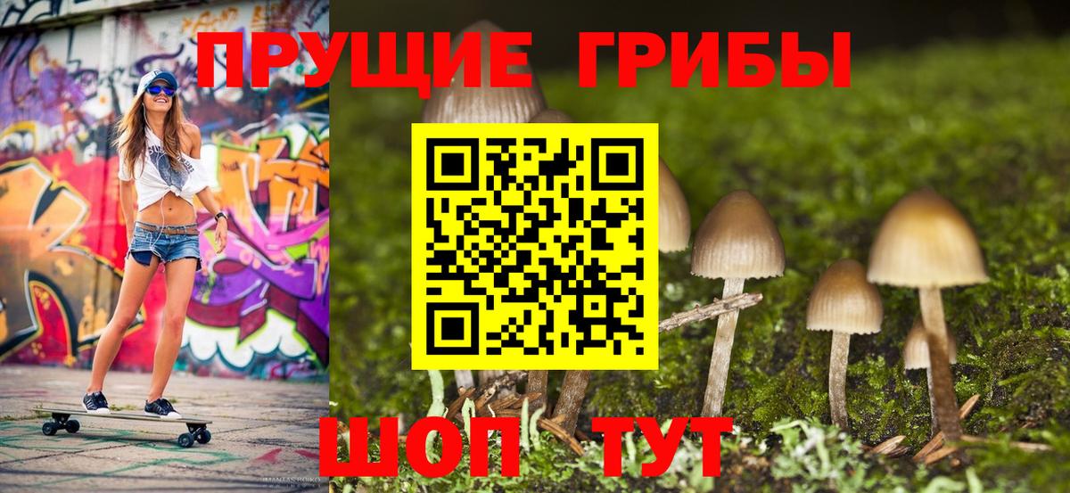 Псилоцибиновые грибы мицелий  Вход с VPN  Кингисепп 